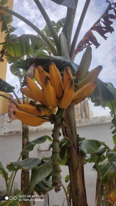 Precioso Apartamento Con A/A En Ruzafa Con Terracita Privada Y Acceso A Un Jardin, Para 2-3 Personas Valencia Luaran gambar
